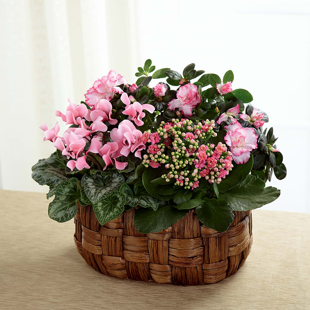 Pink Assortment – Reema Floral, Nolensville TN