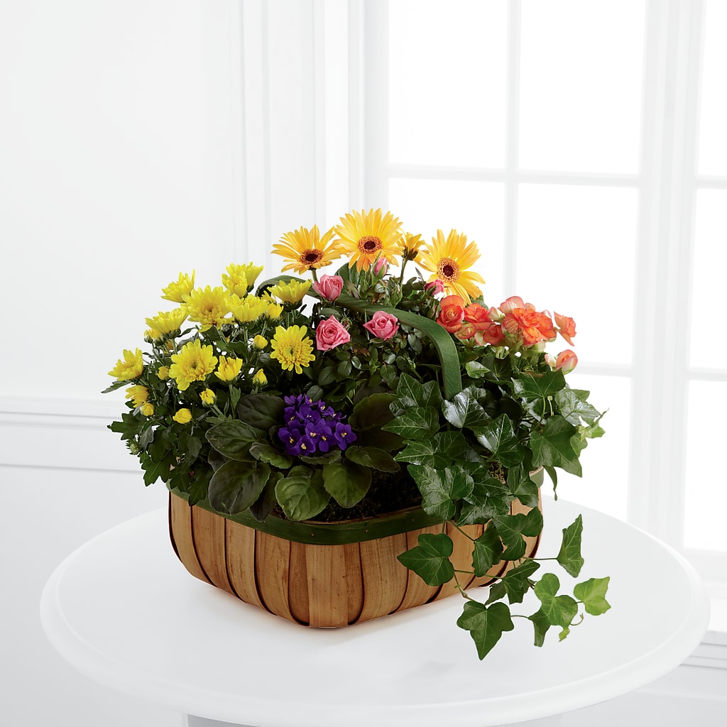 Gentle Blossoms Basket – Reema Floral, Nolensville TN
