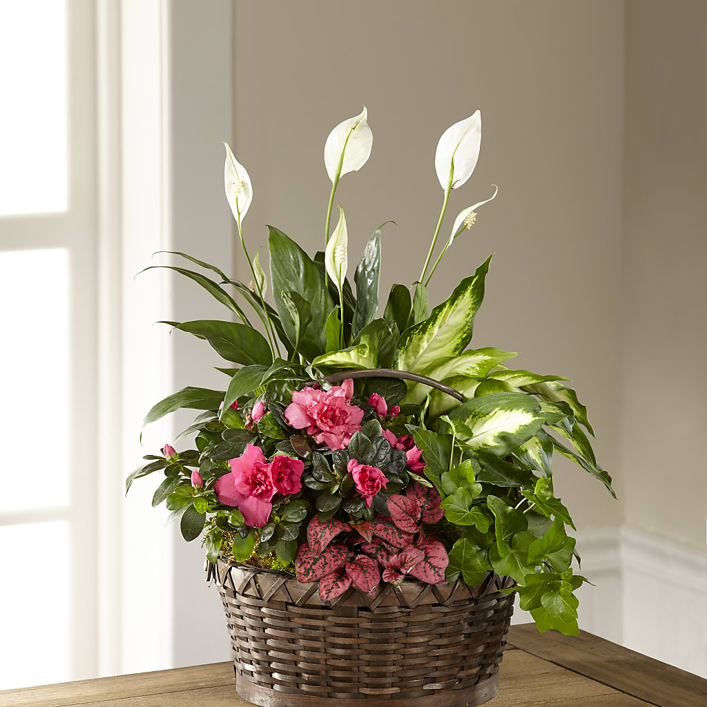 Dream in Pink Dishgarden – Reema Floral, Nolensville TN