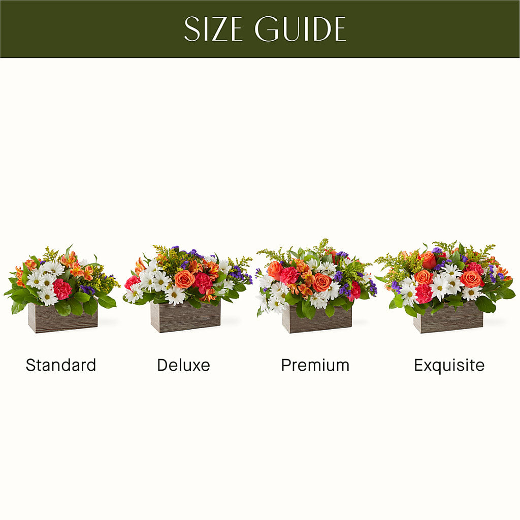 Oopsie Daisy Box Bouquet – Reema Floral, Nolensville TN