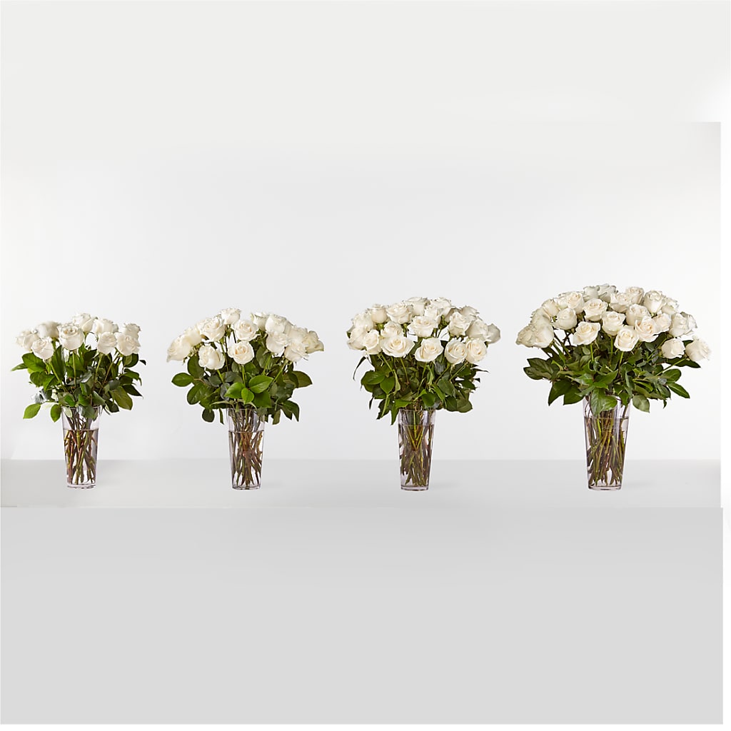 Long Stem White Rose Bouquet – Reema Floral, Nolensville TN