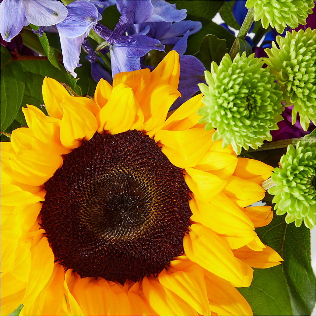 Catching Rays Bouquet – Reema Floral, Nolensville TN