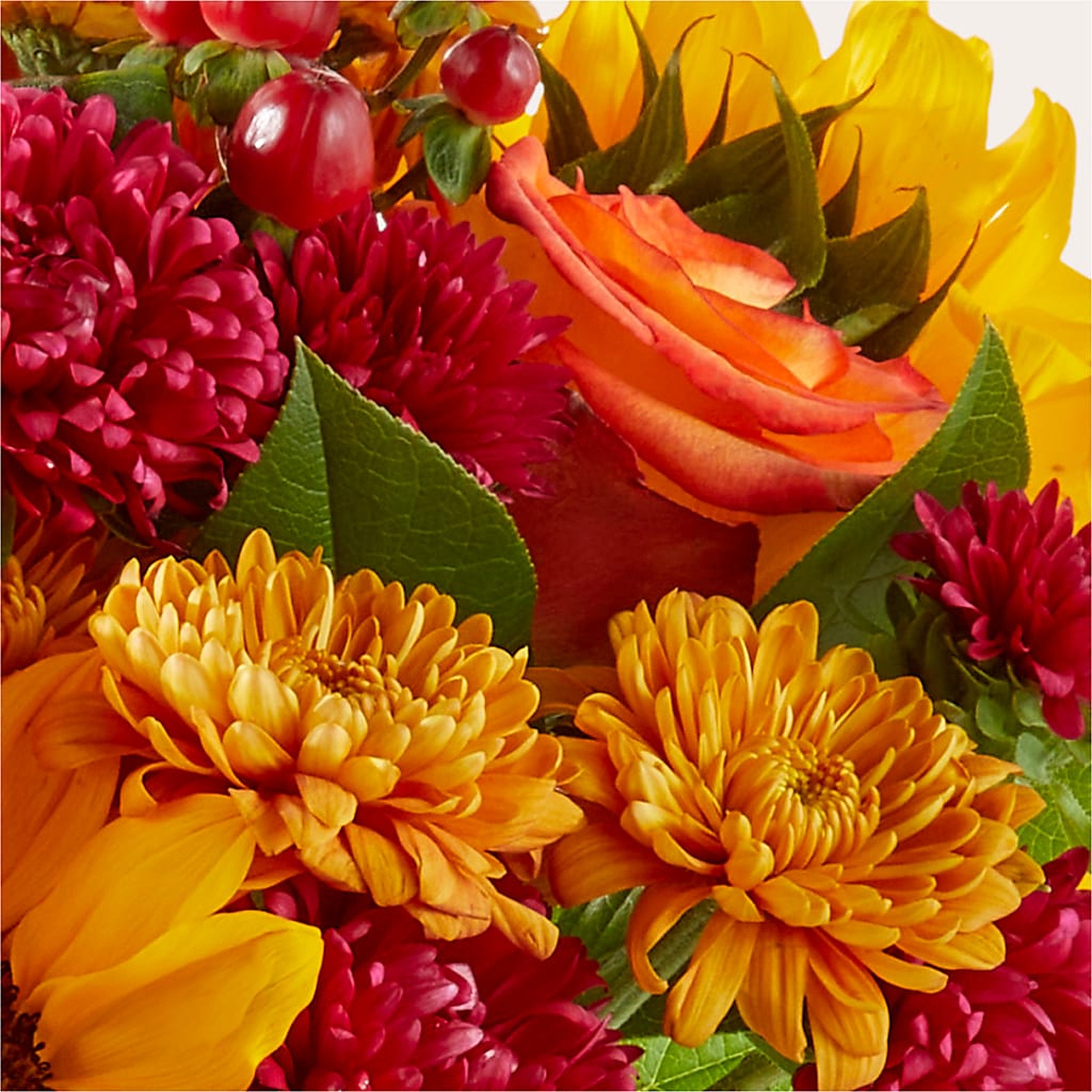 Sweater Season - A Florist Original – Reema Floral, Nolensville TN