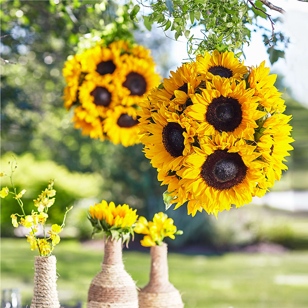 Sublime Garden Hanging Arrangement – Reema Floral, Nolensville TN