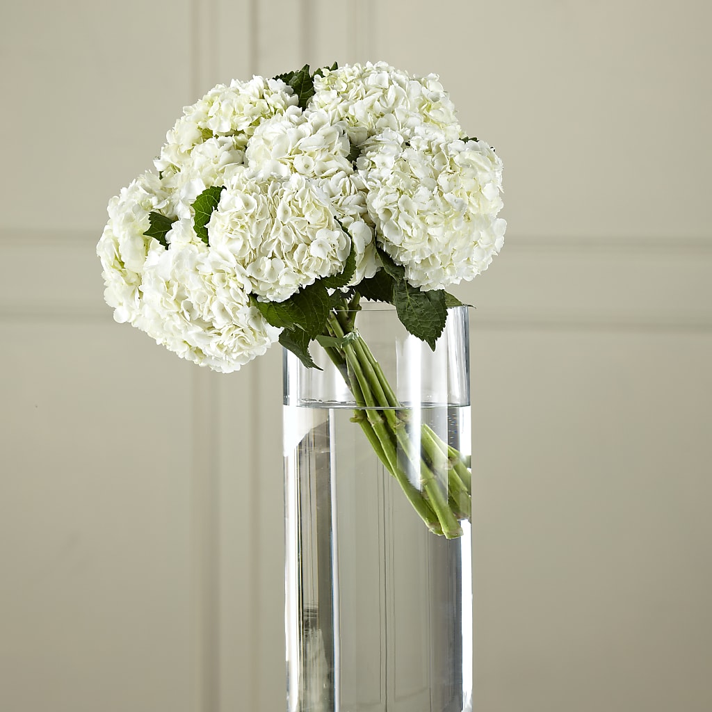 White Hydrangea Hand-Tied Bouquet – Reema Floral, Nolensville TN