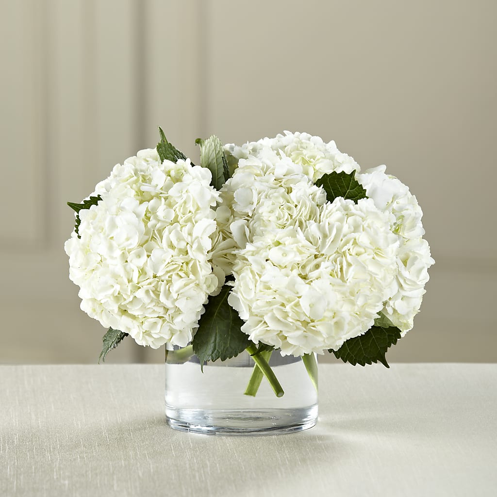 White Hydrangea Bouquet – Reema Floral, Nolensville TN