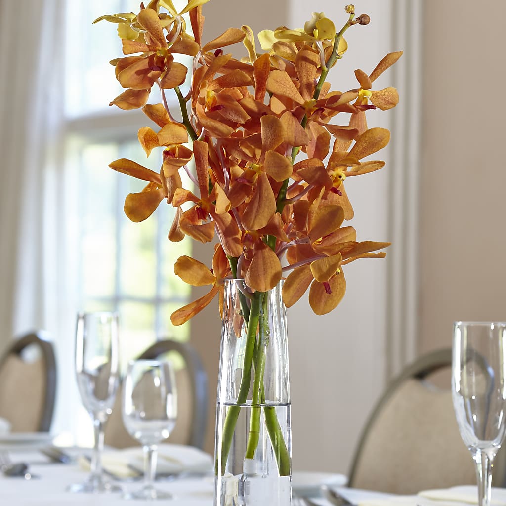 Orange Mokara Bud Vase – Reema Floral, Nolensville TN