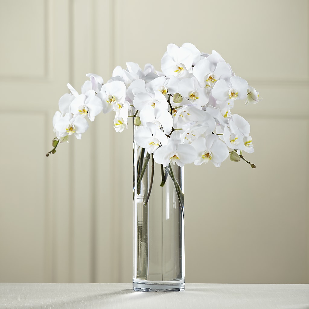 White Phalaenopsis Bouquet – Reema Floral, Nolensville TN