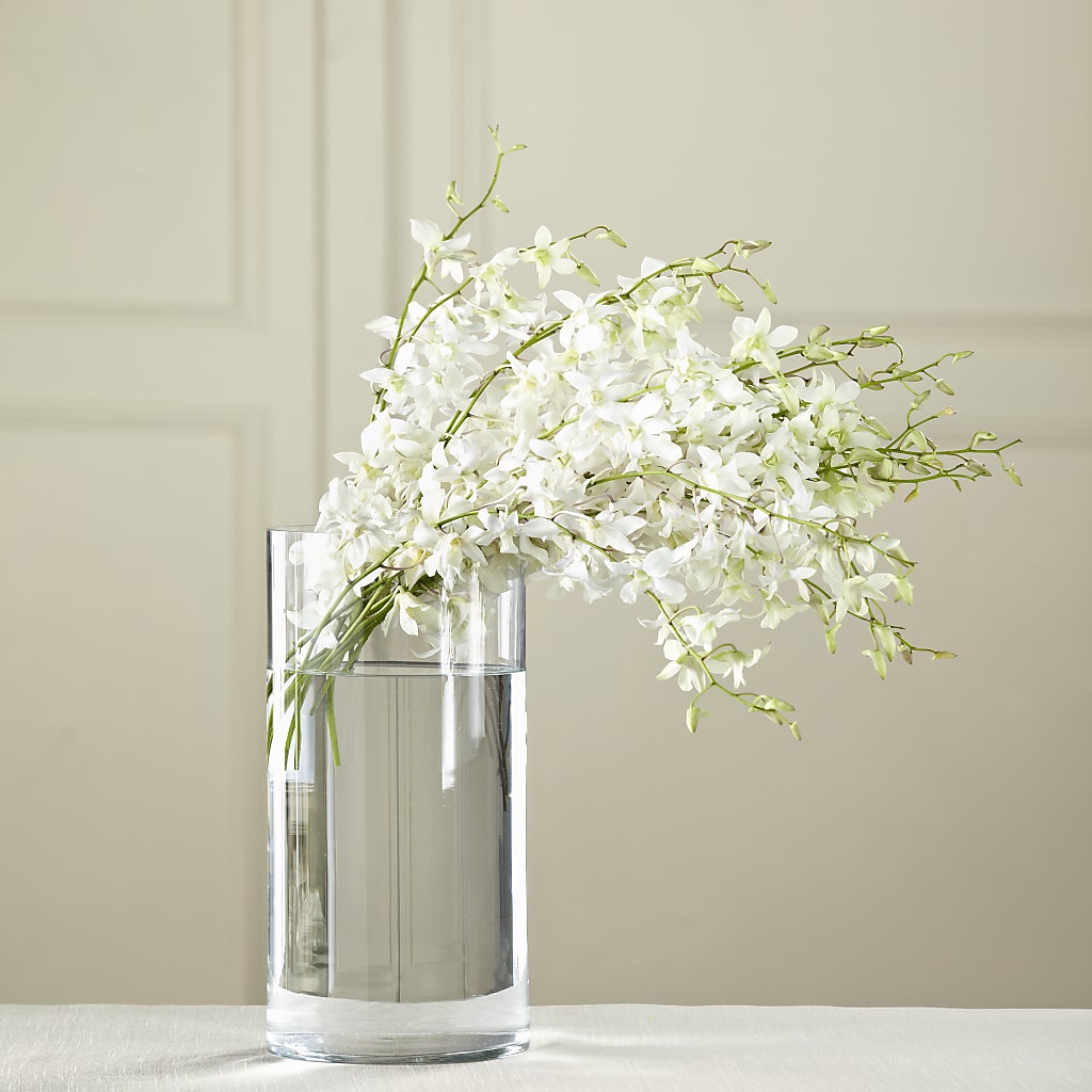 White Dendrobium Bouquet – Reema Floral, Nolensville TN