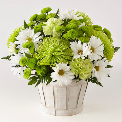 Lucky Charm Basket (Standard) –  Reema Floral, Nolensville TN