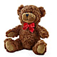 Adorable Plush Bear –  Reema Floral, Nolensville TN