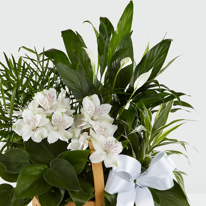 Peace & Serenity Dishgarden –  Reema Floral, Nolensville TN