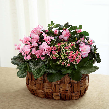 Pink Assortment –  Reema Floral, Nolensville TN