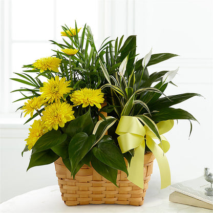 Loving Light Dishgarden –  Reema Floral, Nolensville TN