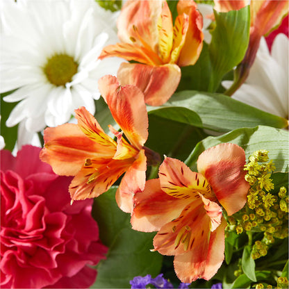 Oopsie Daisy Box Bouquet –  Reema Floral, Nolensville TN
