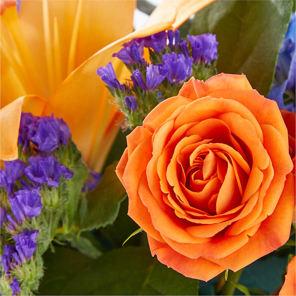 Radiant Citrus Box Bouquet –  Reema Floral, Nolensville TN