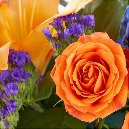 Radiant Citrus Box Bouquet –  Reema Floral, Nolensville TN
