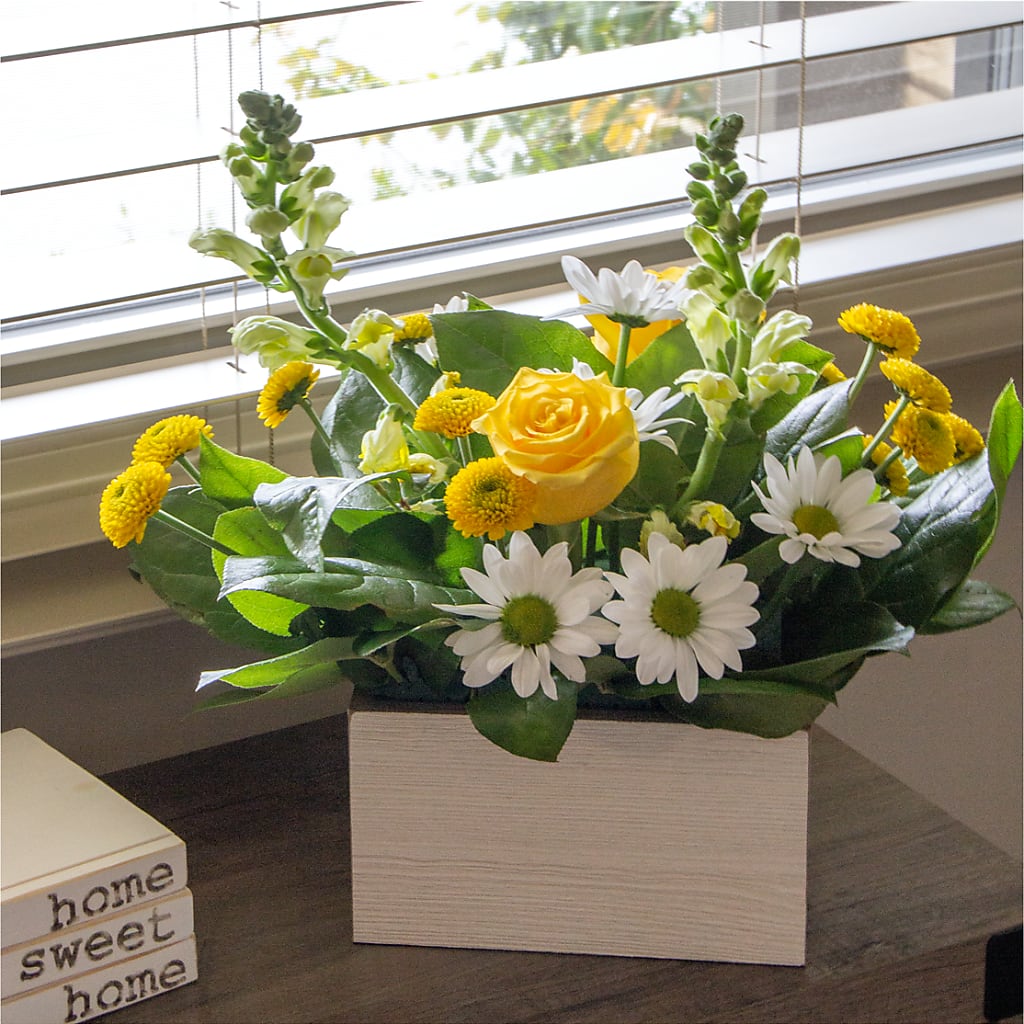 Sun Salutation Box Bouquet –  Reema Floral, Nolensville TN