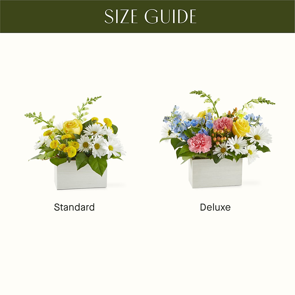 Sun Salutation Box Bouquet –  Reema Floral, Nolensville TN