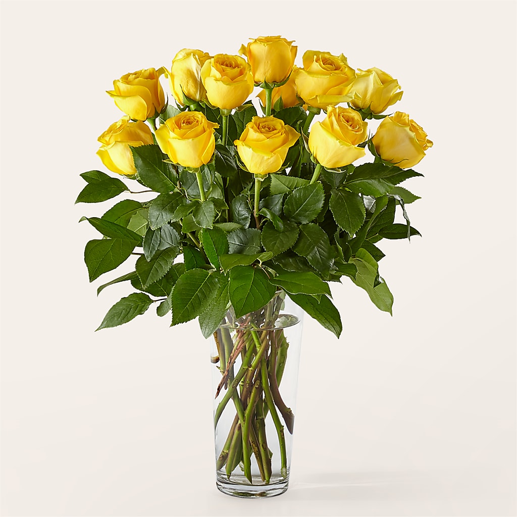 Long Stem Yellow Rose Bouquet –  Reema Floral, Nolensville TN