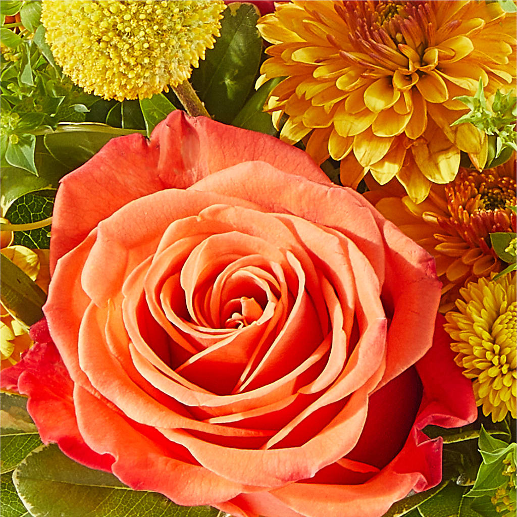 Gourdgeous Pumpkin –  Reema Floral, Nolensville TN