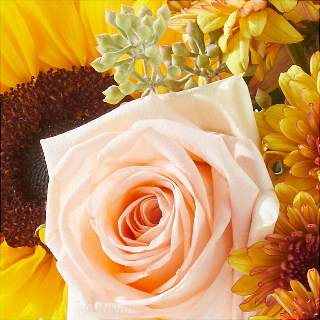 Pumpkin to Talk About Bouquet –  Reema Floral, Nolensville TN