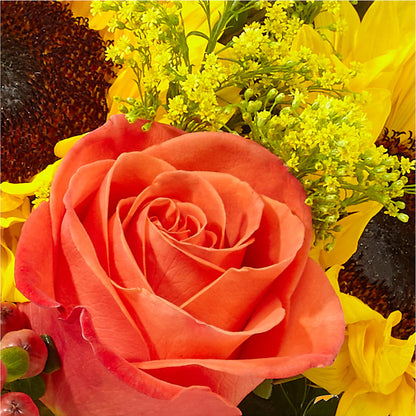 Pick of the Patch Pumpkin Bouquet –  Reema Floral, Nolensville TN
