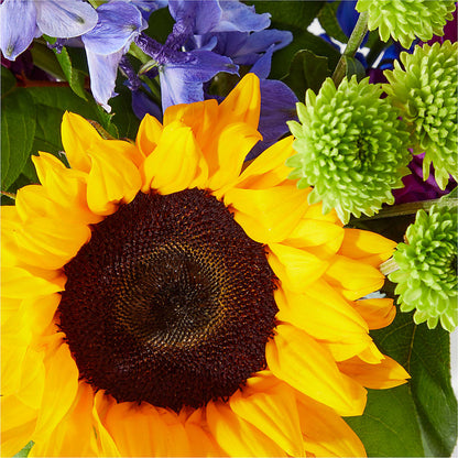 Catching Rays Bouquet –  Reema Floral, Nolensville TN