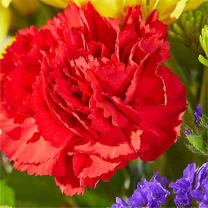Brighter Days Bouquet –  Reema Floral, Nolensville TN