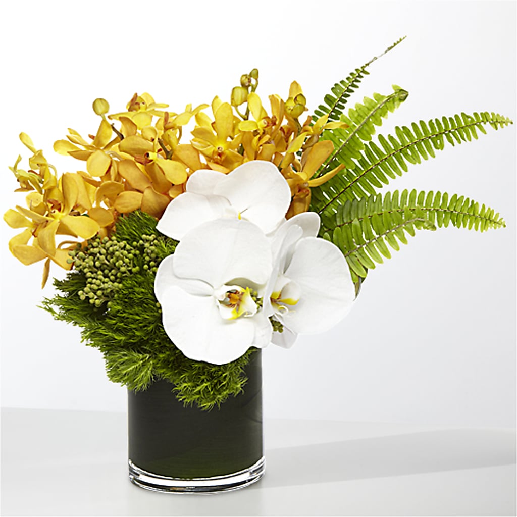 The Tropics –  Reema Floral, Nolensville TN