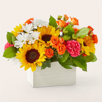Sun-drenched Blooms Box Bouquet –  Reema Floral, Nolensville TN