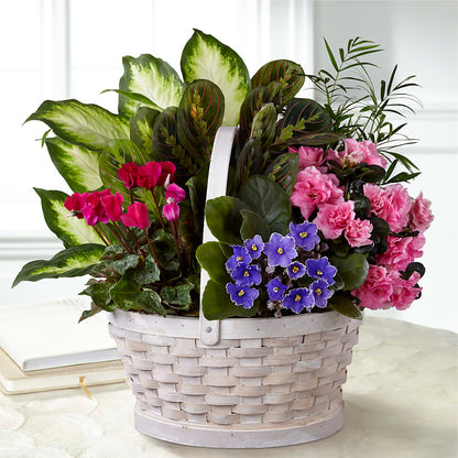 Peaceful Garden Planter –  Reema Floral, Nolensville TN