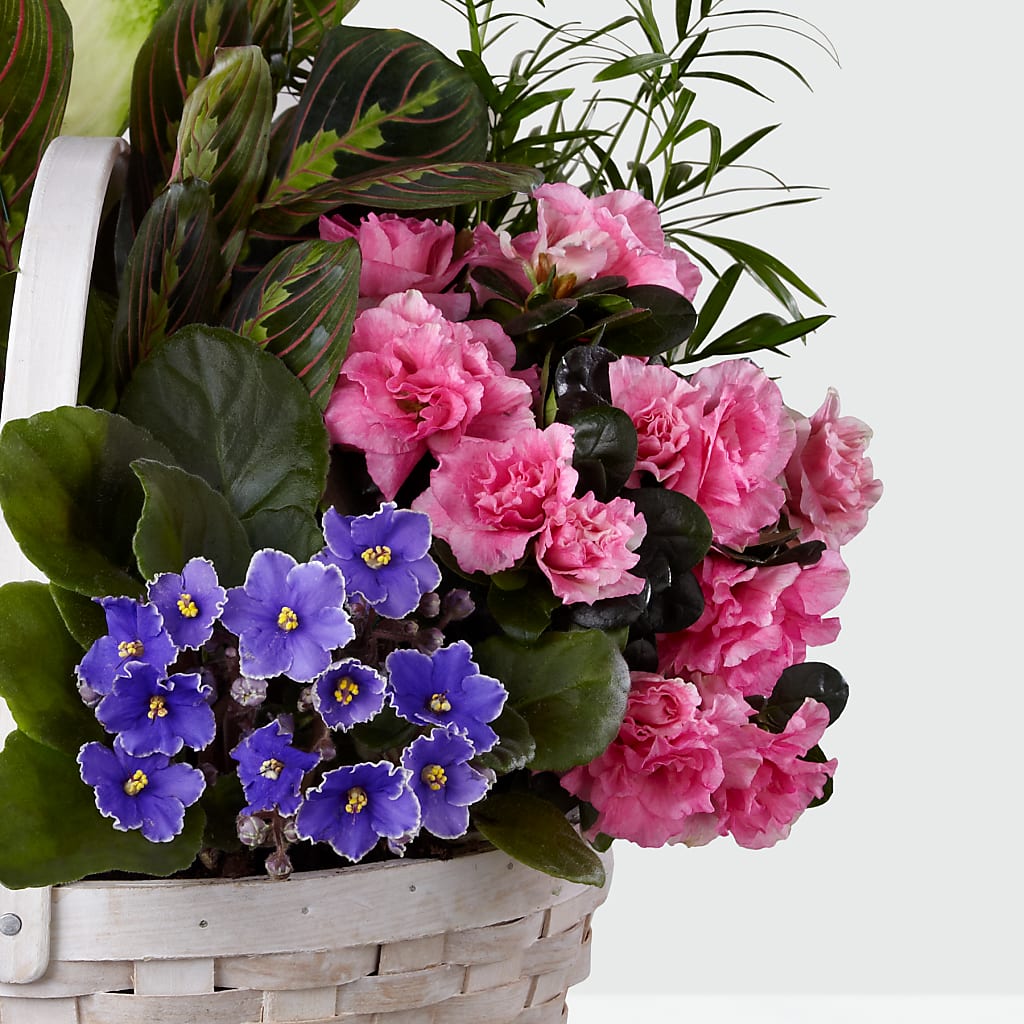 Peaceful Garden Planter –  Reema Floral, Nolensville TN