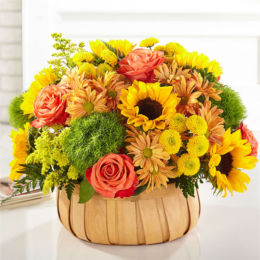 Harvest Sunflower Basket –  Reema Floral, Nolensville TN