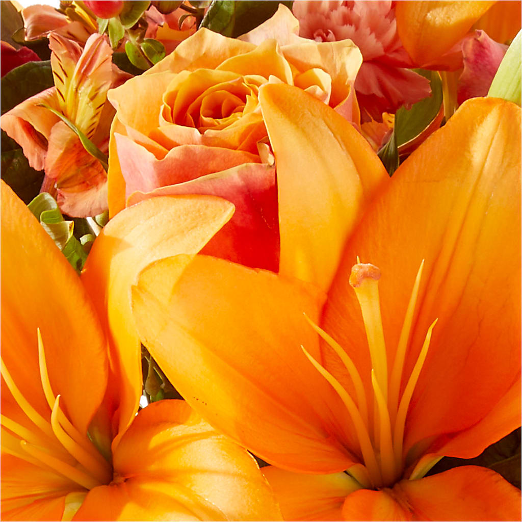 Afternoon Light Bouquet –  Reema Floral, Nolensville TN
