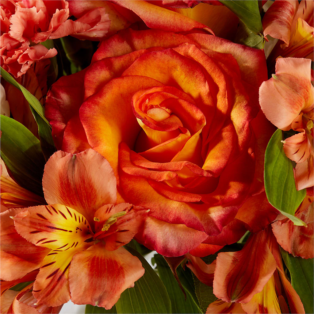 Apricot Glow Bouquet –  Reema Floral, Nolensville TN