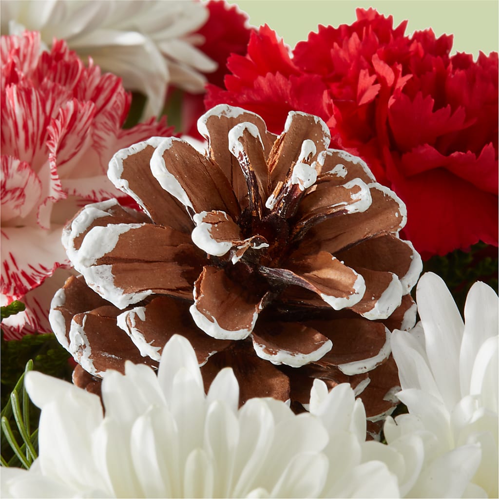 Candy Cane Lane Bouquet –  Reema Floral, Nolensville TN