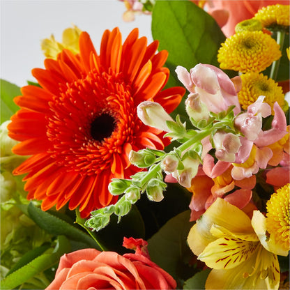 Autumn Sunshine Bouquet –  Reema Floral, Nolensville TN