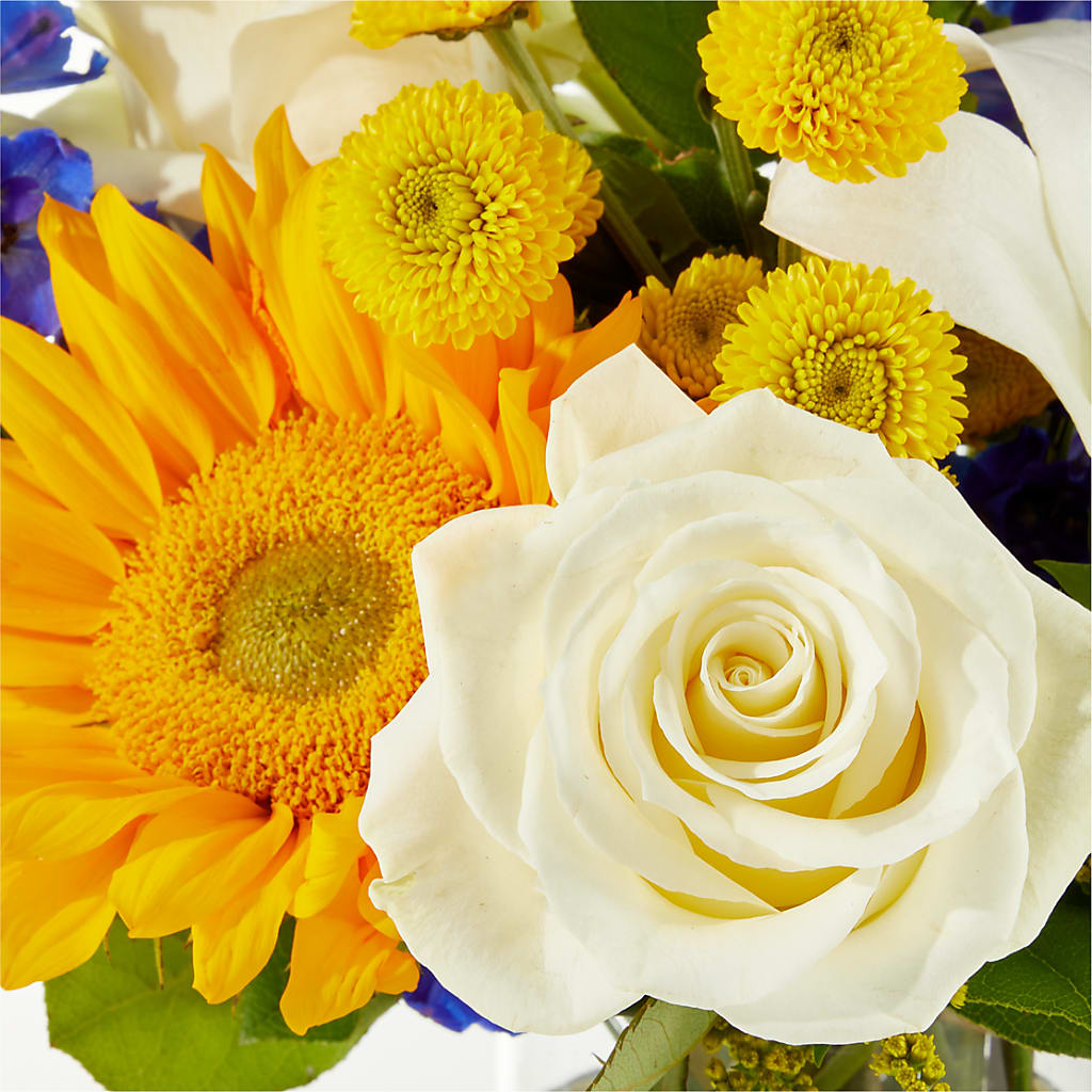 Stargazing Bouquet –  Reema Floral, Nolensville TN