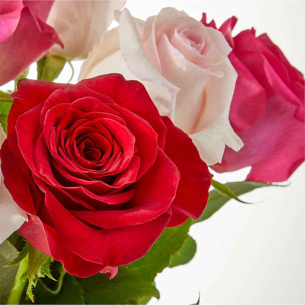 Charming Rose Bouquet –  Reema Floral, Nolensville TN