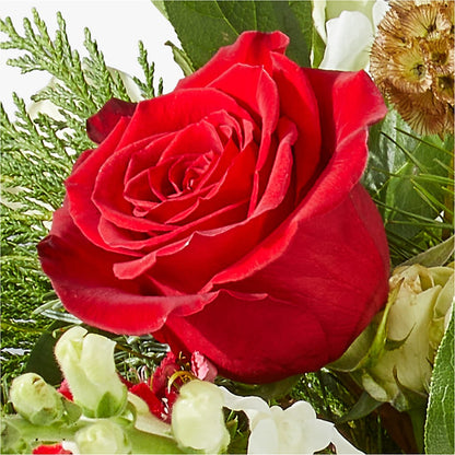 Deck the Halls Bouquet –  Reema Floral, Nolensville TN