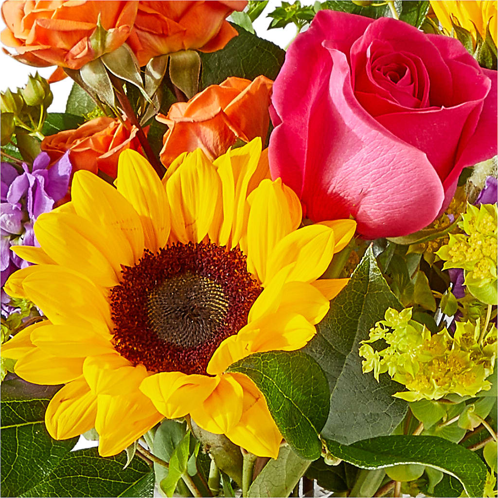 Vibrant Greetings Bouquet –  Reema Floral, Nolensville TN
