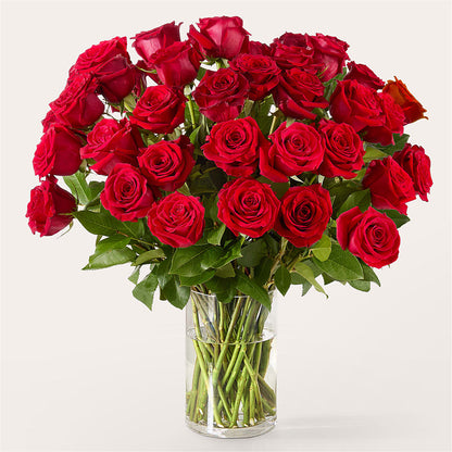 The One Red Rose Bouquet –  Reema Floral, Nolensville TN