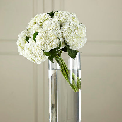 White Hydrangea Hand-Tied Bouquet –  Reema Floral, Nolensville TN