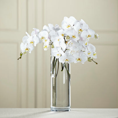 White Phalaenopsis Bouquet –  Reema Floral, Nolensville TN